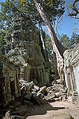 Ta Prohm temple - silk-cotton trees rising over the ruins